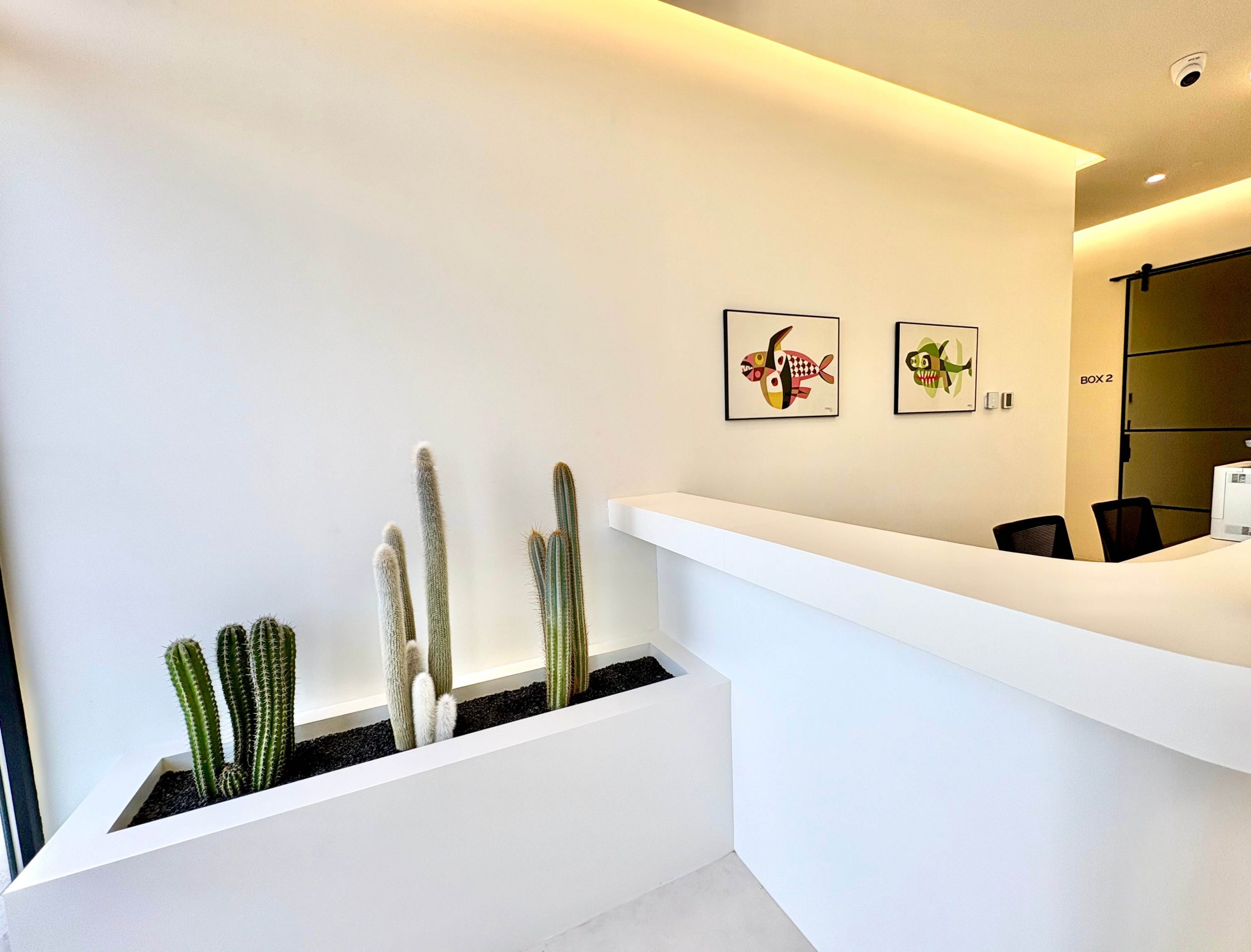 Beja dental recepción